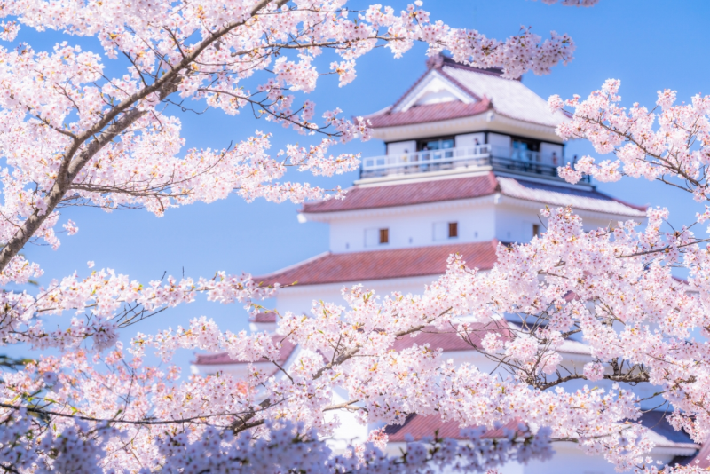 Sakura beauty & wellness cottage
