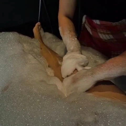 Beauty-Wellness Aqua Puur
