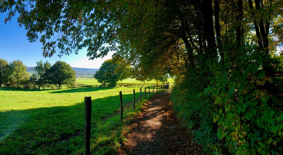 Limburg