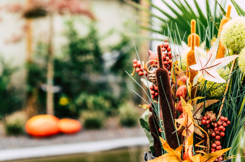 villa cecha b&b en wellness